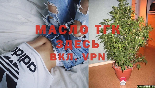 сатива Волоколамск