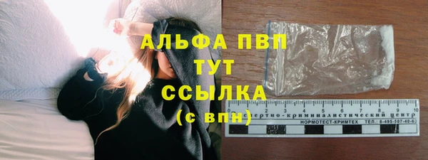 гидра Верхний Тагил