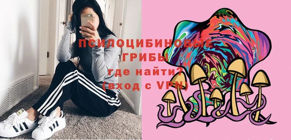 гидра Верхний Тагил
