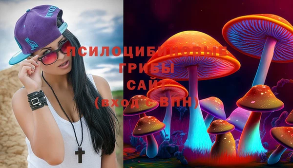 гидра Верхний Тагил