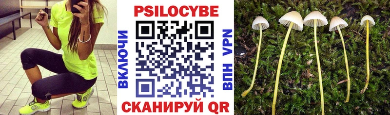 Псилоцибиновые грибы мухоморы  где продают наркотики  Ачинск 